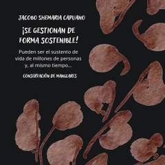 -Jacobo Shemaria Capuano- Conservación de manglares: (Parte 1) (Creado por @JacoboShemariaCapuano)