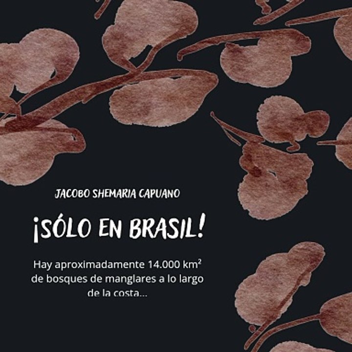 -Jacobo Shemaria Capuano- ¿Cuál es su importancia? (Parte 2) (Creado por @JacoboShemariaCapuano)