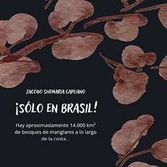 -Jacobo Shemaria Capuano- ¿Cuál es su importancia? (Parte 2) (Creado por @JacoboShemariaCapuano)