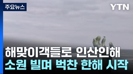 갑진년 해맞이 인파 '북적'...이 시각 호미곶 / YTN
