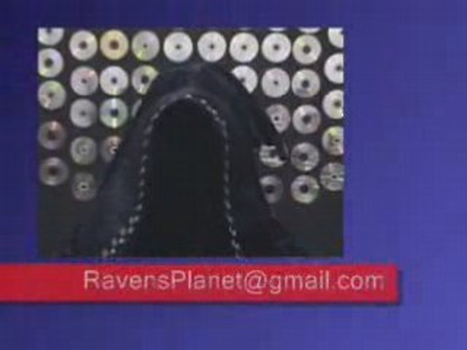 Prison Update - Raven Gets Locked Up & You Can Follow Along