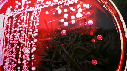 3 Aterradores Hallazgos Científicos que la Humanidad Desconoce