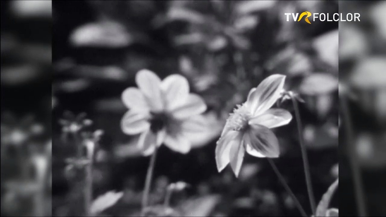 Benone Sinulescu si Irina Loghin - Mai, Ionele, un' te duci (arhiva TVR)