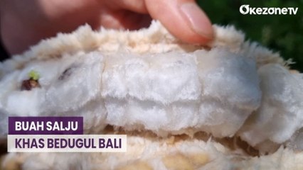 Mengenal Buah Salju Khas Bedugul Bali yang Lembut seperti Kapas