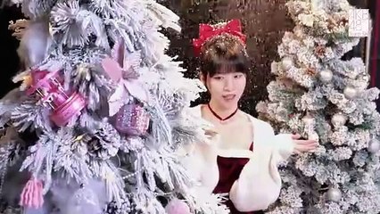 2023 12月圣诞特别生写拍摄花絮（AKB48 TeamSH）