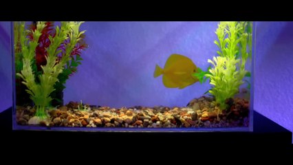 Bullet Head Film Explained in Hindi Urdu Summarized Hindi Voice Over Film Addict