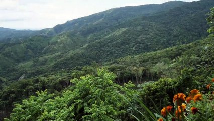 Trópico de Sangre Bande-annonce (EN)