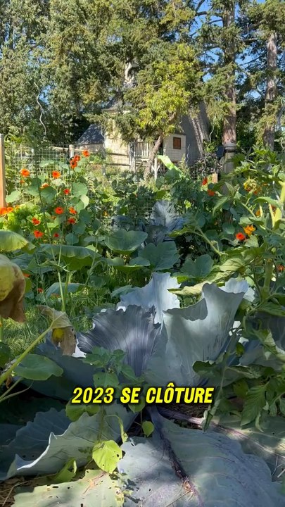 Belle et heureuse année à tous ✨ Je souhaite à chacun d’entre vous que vos plants de bonheur poussent plus vite que les mauvaises herbes et que vos projets soient couronnés de succès  !