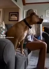 Voici ma nouvelle vidéo(720P_HD)_1