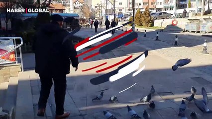 Kadir dedeye alışan kuşlar onu asla bırakmıyor: Güvercinleri ağzıyla besliyor