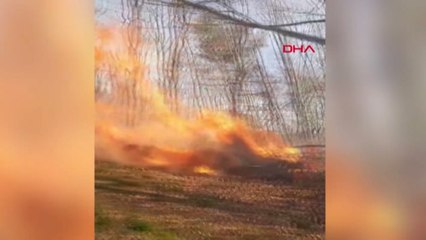 Sakarya'da orman yangını