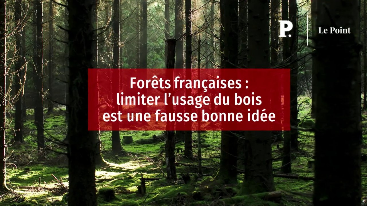 Forêts françaises : limiter l’usage du bois est une fausse bonne idée