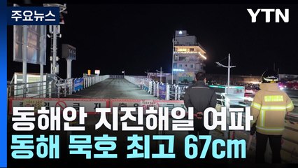 동해안에도 지진해일 여파...동해 묵호 최고 67cm / YTN