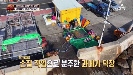 과메기 두 점으로 일꾼으로 팔린 사연! 전광렬 사위의 감동 스토리 😢