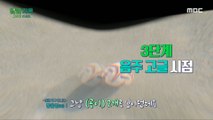 [HOT] Participants are embarrassed by dizziness as if they drank soju, 오은영 리포트 - 알콜 지옥 240101