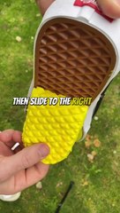 Did you know ? #randomfacts #facts #curiosity #knowledge #didyouknow