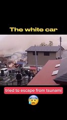 The white car tried to escape from tsunami
