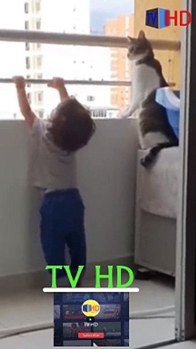 مقطع فيديو مضحك قطة ذكية تحيل محاولات طفل للعب بقطبان حديدية في لحظة كوميدية