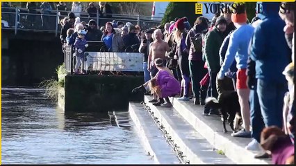 New Years Day Joe Town Memorial Swim in the River Wharfe at Otley.