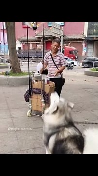 The Funniest Fails and Bloopers (Try Not to Laugh Challenge) part-26 #funnyvideos #viral