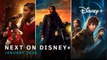 What's New on Disney+ ? | For January 2024