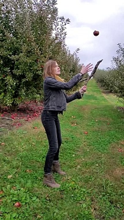Rotten Apple Goes Splat