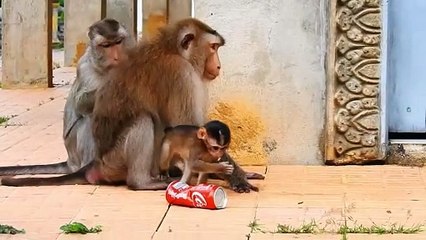 Oh Great ! Super Old Mama Carry Her Baby Climbing Up The High Pillar Of Temple (720p_25fps_H264-192kbit_AAC)