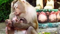 Oh How Cute You Are ! Cutie Newborn Baby Get Sweetie KISS By Pinka Mom (720p_25fps_H264-192kbit_AAC)