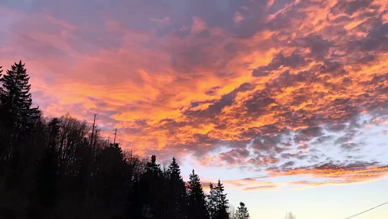 Morning abundance. Speechless