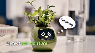 Smart Planter With Emotions Tells You What Your Plant Needs - PlantsIO Ivy