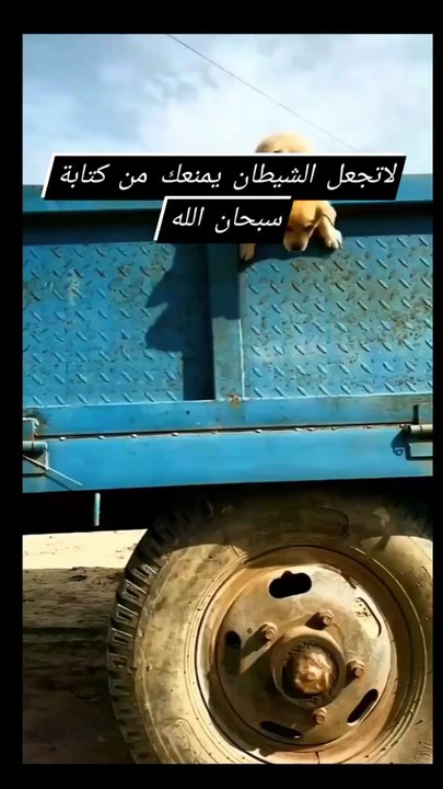الامل يصنع