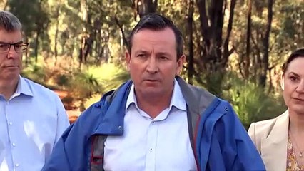 Production of Jarrah and Karri timber banned from WA's native forests