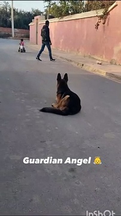 Comment your thoughts