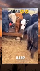 Didn't Expect this...