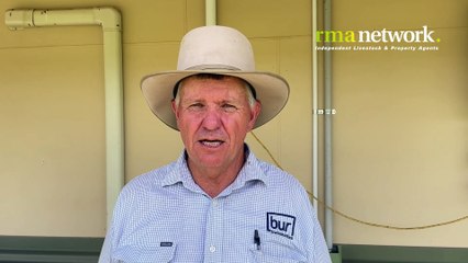 Weaner sales: Wodonga | 02/01/24 | The Land