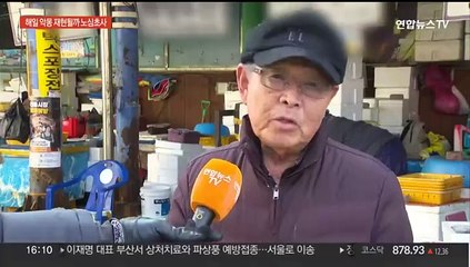 일본 지진에 동해 묵호 지진해일 최고 85㎝…어촌마을 초긴장