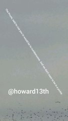 "The Prune said to cue you in would be cumbersome. And we don't want to be a pickle" 12/27/2023