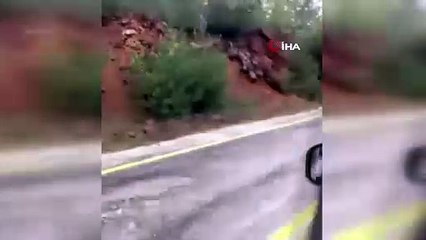 Aç kalan domuz sürüsü karayoluna indi