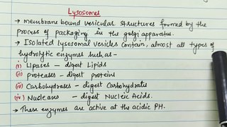 Easy concept of Lysosomes