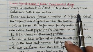 Mitochondria notes explain