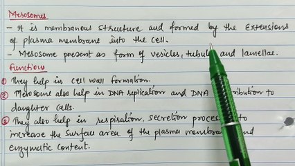 बैक्टीरिया में Pili का क्या काम है? जानिए हिंदी में 🦠