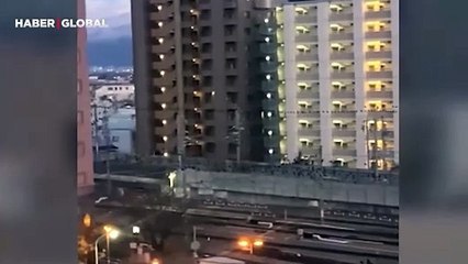 Kuşlar Japonya'daki depremi önceden fark etti mi? Tuhaf davranışları kameralara yansıdı