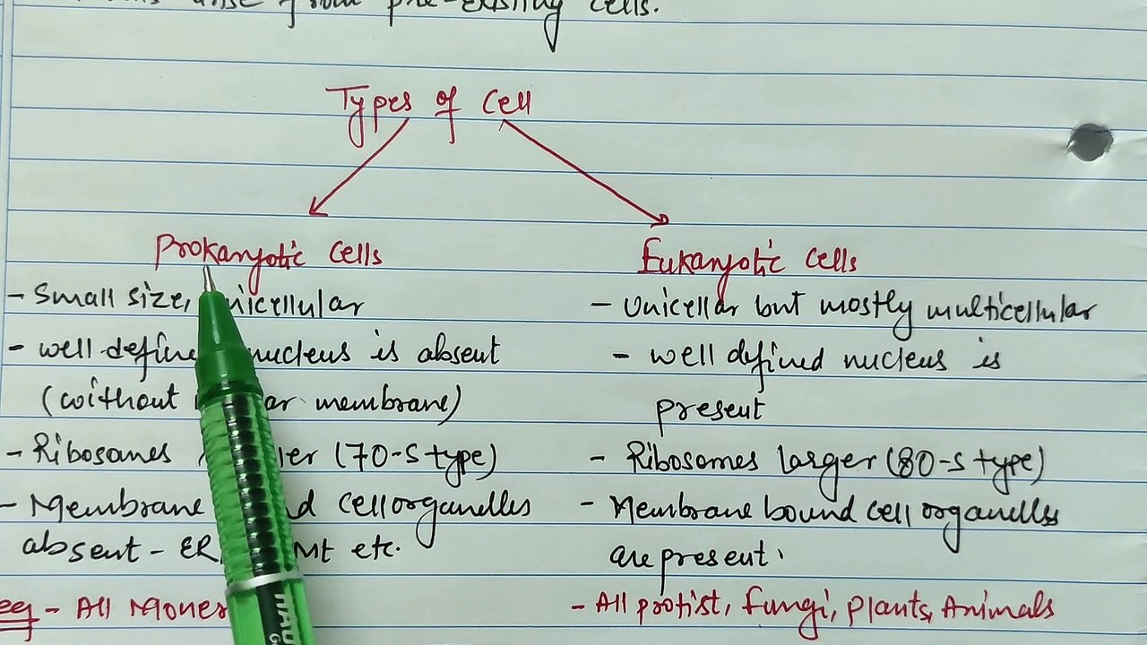 difference between prokaryotic & eukaryotic cell
