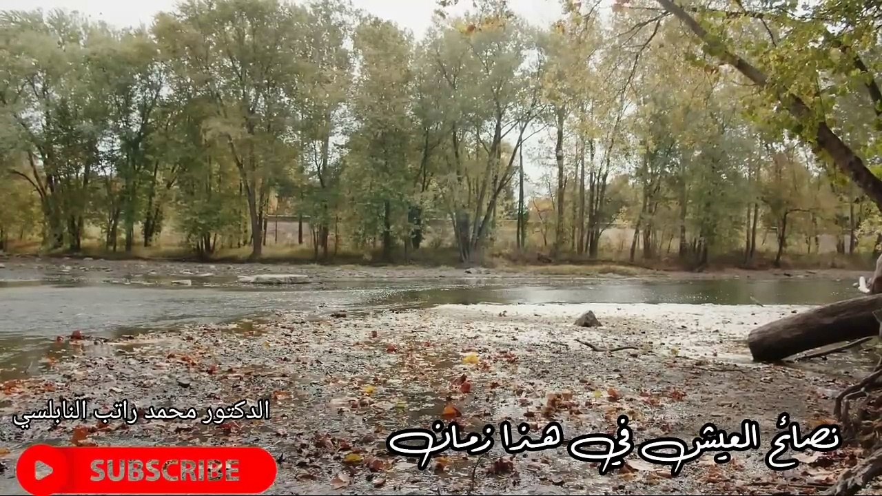 نصائح لهذا الزمان  (محمد  النابلسي)