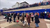 New Year's Day concert at Eastbourne Bandstand in East Sussex