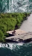 Penampakan Puteri Duyung