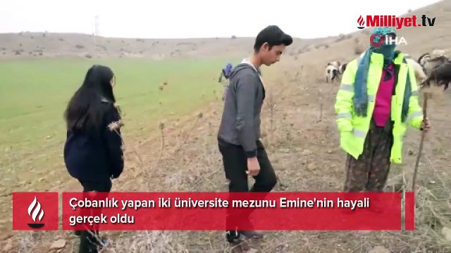 Çobanlık yapan iki üniversite mezunu Emine'nin hayali gerçek oldu