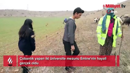 Çobanlık yapan iki üniversite mezunu Emine'nin hayali gerçek oldu
