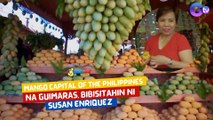 Mango capital of the Philippines na Guimaras, bibisitahin ni Susan Enriquez | I Juander