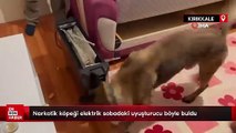 Kırıkkale'de narkotik köpeği elektrik sobadaki uyuşturucu böyle buldu